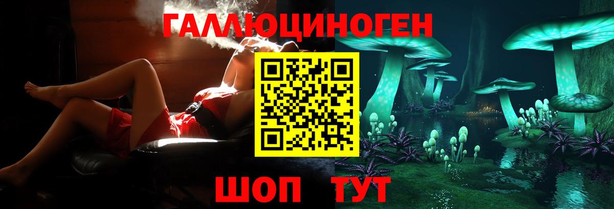 Псилоцибиновые грибы GOLDEN TEACHER Симферополь